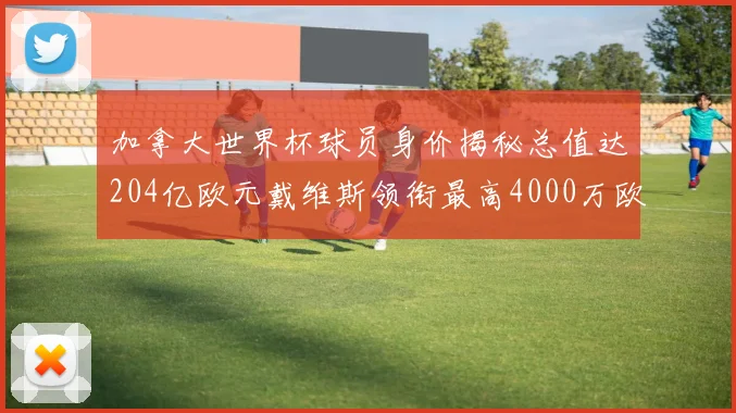 加拿大世界杯球员身价揭秘总值达204亿欧元戴维斯领衔最高4000万欧