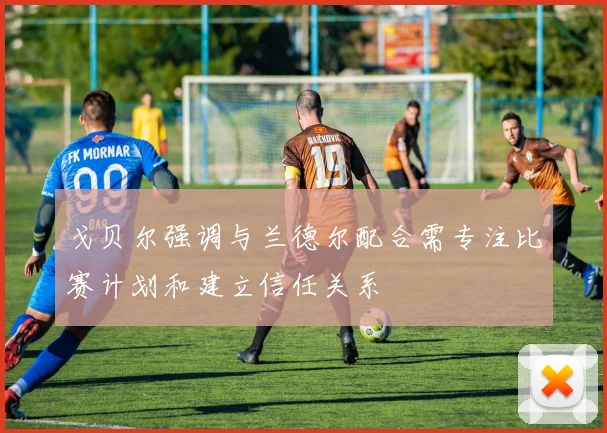 戈贝尔强调与兰德尔配合需专注比赛计划和建立信任关系
